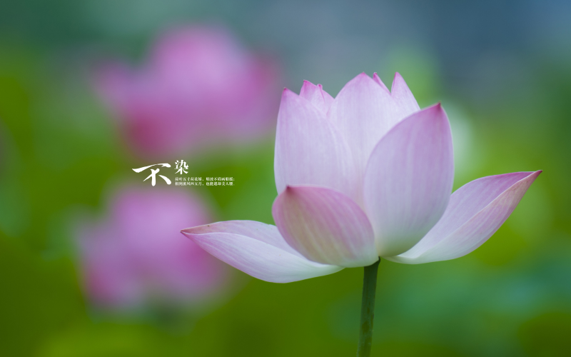 PHP多少函数